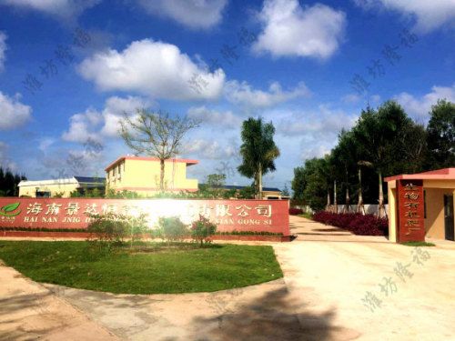 時產(chǎn)5000包基質(zhì)（育苗土）