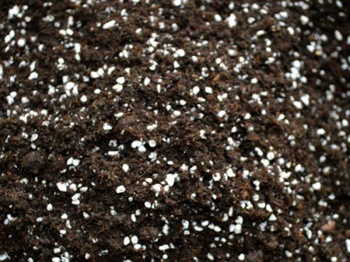 時產(chǎn)5000包基質(zhì)（育苗土）