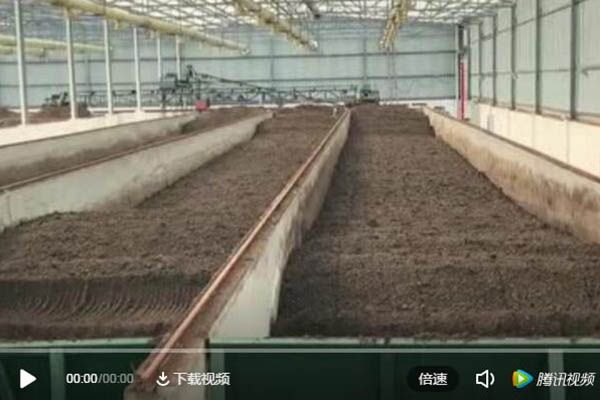 槽式發(fā)酵（鏈板式翻拋機）